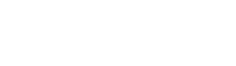 Techno Wealth